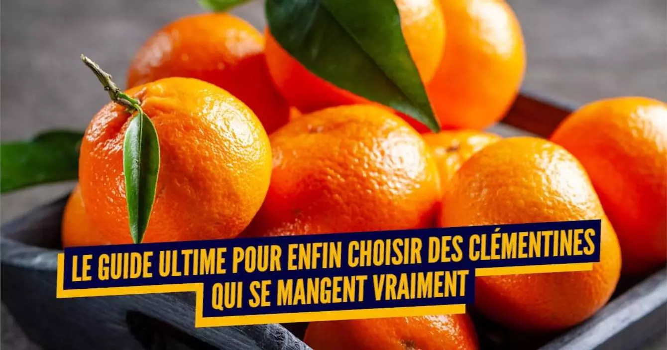 Peut On Manger Des Clementines Le Soir 8 astuces pour choisir ses clémentines