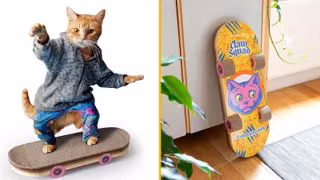 Grattoir Skateboard Chat