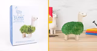 Llama Planter
