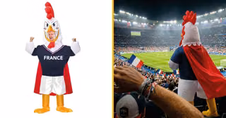 Deguisement Super Coq